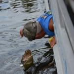 OTRA2014_1595 (September 03, 2014)